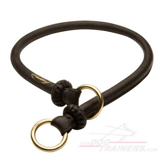 NEW 2018 "Best Trainer" Exquisite Round Leather Silent Choke Collar