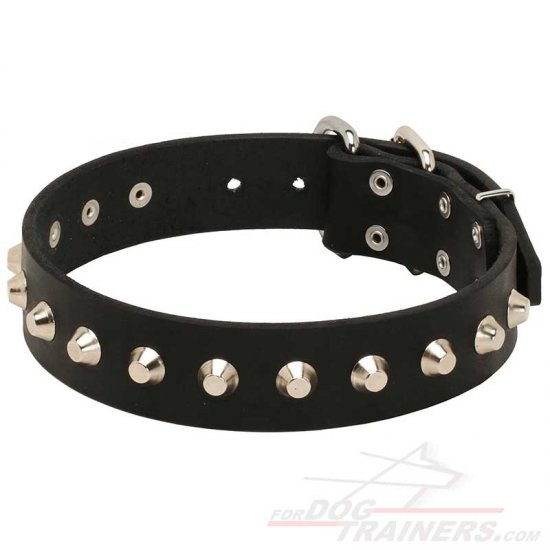 "Daily Elegance" Leather Dog Collar with Nickel-Plated Pyramids - Click Image to Close