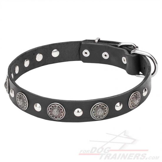 "Shiny Charm" Fashionable Leather Dog Collar with Plates and Half-Ball Studs - 1 1/5 inch (30 mm)