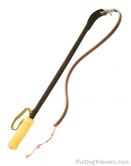 Dog Training Agitation Whip - 30% DISCOUNT - Click Image to Close