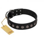 "Silent Star" Handmade FDT Artisan Designer Black Leather Dog Collar with Engraved Plates