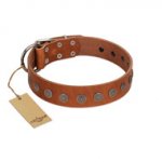 "Lucky Star" Handmade FDT Artisan Designer Tan Leather Dog Collar with Round Plates