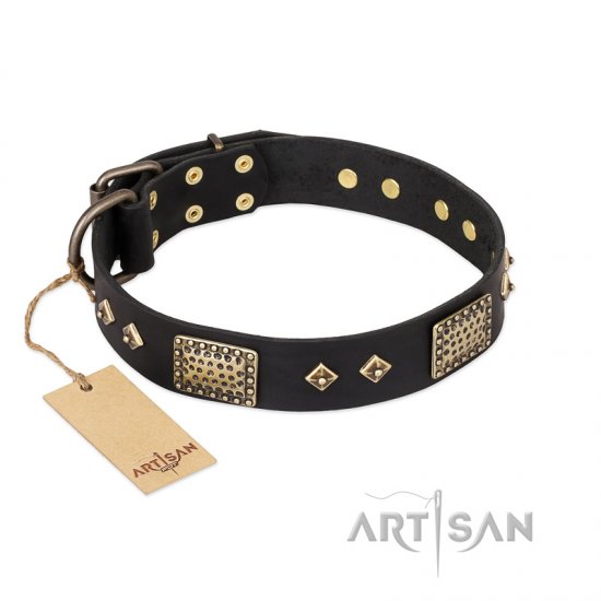 ‘Jewel Passion’ FDT Artisan Fashionable Black Leather Dog Collar