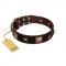 “Choco Dreams” FDT Artisan Brown Leather Dog Collar with Squares and Stars