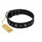 "Mr. Elegance" Designer FDT Artisan Black Leather Dog Collar with Silver-Like Studs