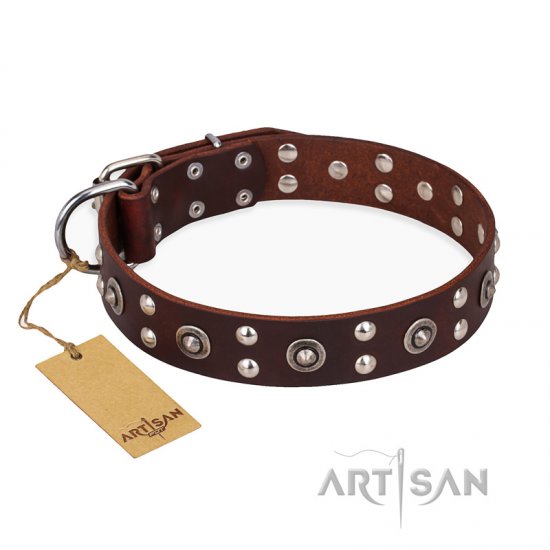 ‘Pirate Treasure’ FDT Artisan Exciting Brown Leather Dog Collar with Studs - Click Image to Close