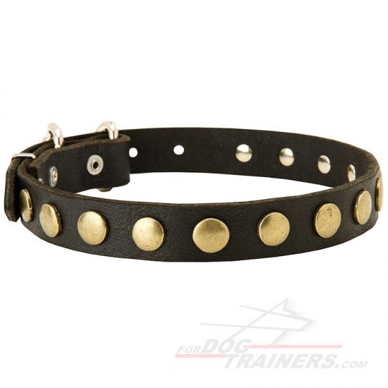 Best Quality Leather Dog Collar with Fashionable Circles