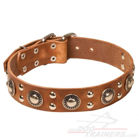 'Rock n Roll' Leather Dog Collar - Cool Mix of Decorations - Click Image to Close