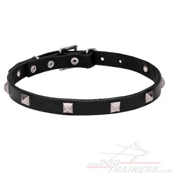 "A La Mode" 3/4 Inch (20 mm) Wide Studded Leather Dog Collar for Walking in Style