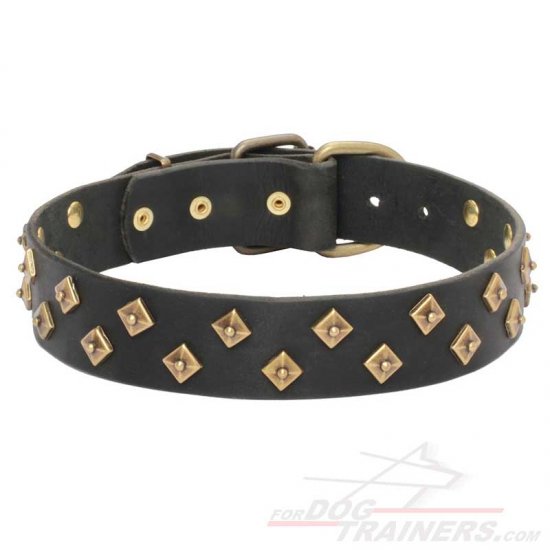 “Haute Couture” leather dog collar adorned with brass pyramids - Click Image to Close