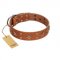 "Dreamy Gleam" FDT Artisan Tan Leather Dog Collar Adorned with Stars and Squares