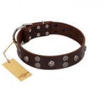 "Skull Valley" Handcrafted FDT Artisan Brown Leather Dog Collar with Skulls