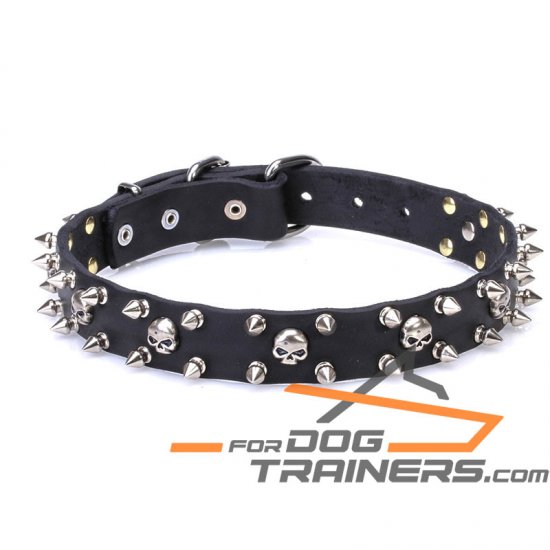 1 inch (25 mm) 'Buccaneer Legacy' Leather Dog Collar with Chrome Plated Spikes and Small Skulls - Click Image to Close