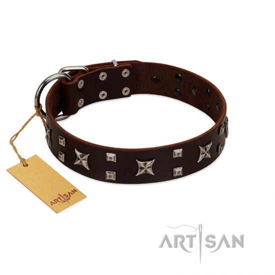 "Bigwig Woof" FDT Artisan Brown Leather Dog Collar with Chrome Plated Stars and Square Studs