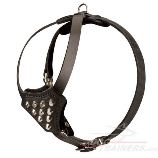 Stylish Studded Dog Harness for Active Puppies - Click Image to Close