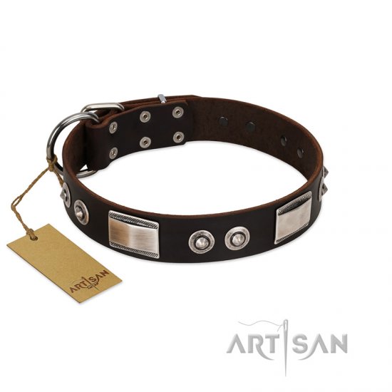 "Baller Status" FDT Artisan Brown Dog Collar Adorned with a Set of Chrome Plated Stars and Plates