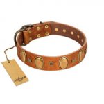 "Glossy Autumn" Designer Handmade FDT Artisan Tan Leather Dog Collar with Ovals and Studs