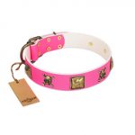 "Wild and Free" FDT Artisan Pink Leather Dog Collar with Skulls and Crossbones Combined with Squares