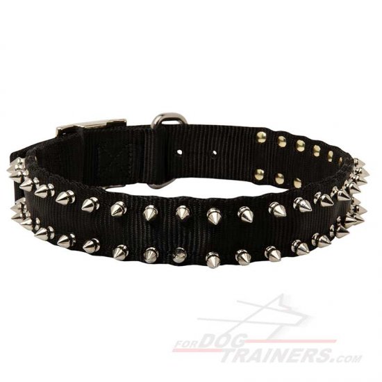 Black Nylon Dog Collar with Spikes