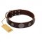 "Flashy Woof" FDT Artisan Brown Leather Dog Collar with Chrome Plated Brooches