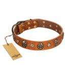 "Call of Feat" FDT Artisan Tan Leather Dog Collar with Old Bronze-like Studs and Oval Brooches