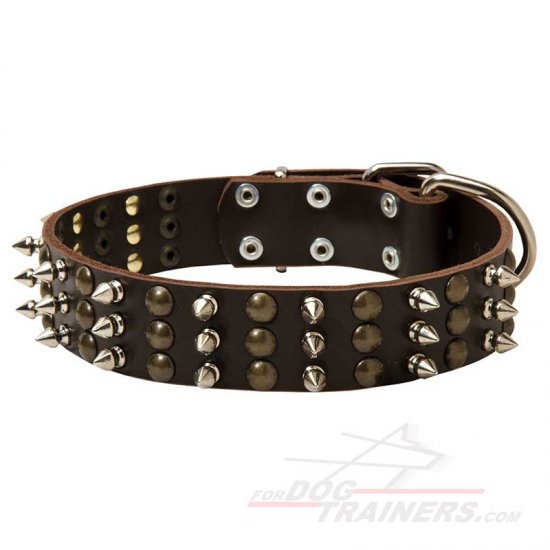 Trendy Leather Dog Collar with Mix of Studs and Spikes