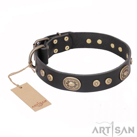 'Golden Radiance' FDT Artisan Black Leather Dog Collar with Old Bronze Look Ovals and Circles - 1 1/2 inch (40 mm) wide - Click Image to Close