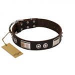 "Baller Status" FDT Artisan Brown Dog Collar Adorned with a Set of Chrome Plated Stars and Plates