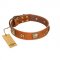 “Celtic Tunes” FDT Artisan Tan Leather Dog Collar Adorned with Stars and Squares