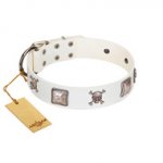 "Pirate Sloop" Handmade FDT Artisan Designer White Leather Dog Collar with Crossbones