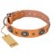 'Twinkle Twinkle' FDT Artisan Incredible Studded Tan Leather Dog Collar