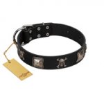 "Sea Rover" Embellished FDT Artisan Black Leather Dog Collar with Chrome Plated Crossbones and Plates