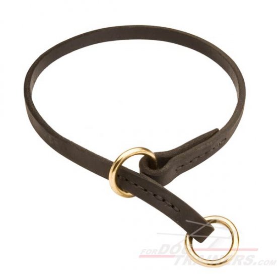 Silent Training Leather Choke Dog Collar