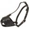 Everyday Leather Dog Muzzle for All Breeds Training