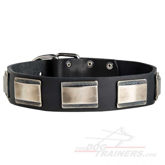 Royal Plated Leather Dog Collar for Walking and Basic Training