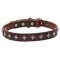 'Interstellar' Narrow Leather Dog Collar with Silver-like Decoration