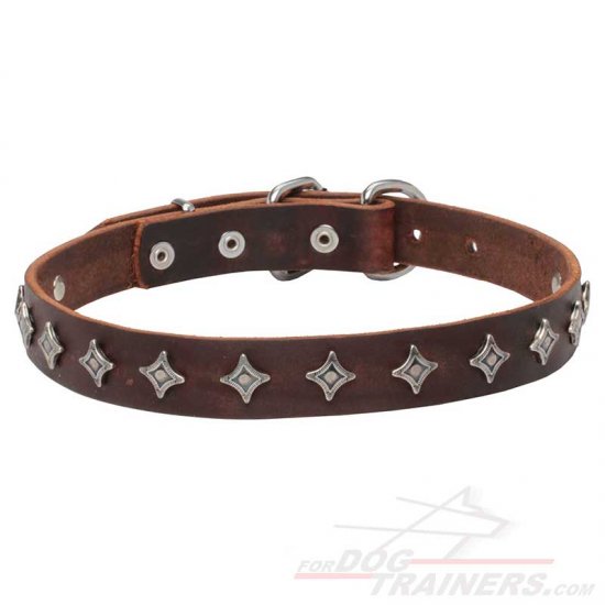 'Interstellar' Narrow Leather Dog Collar with Silver-like Decoration