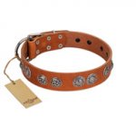 "Woofy Majesty" FDT Artisan Tan Leather Dog Collar with Round Silver-like Plates