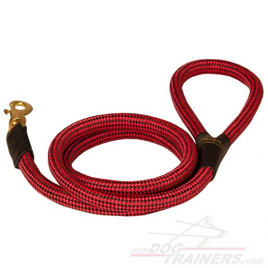 Tough Nylon Cord Dog Leash for Large Dogs with Extra Strong Brass Snap Hook - Click Image to Close