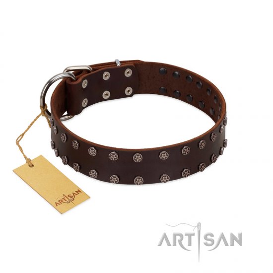 "Star Party" Handmade FDT Artisan Brown Leather Dog Collar with Silver-Like Studs - Click Image to Close