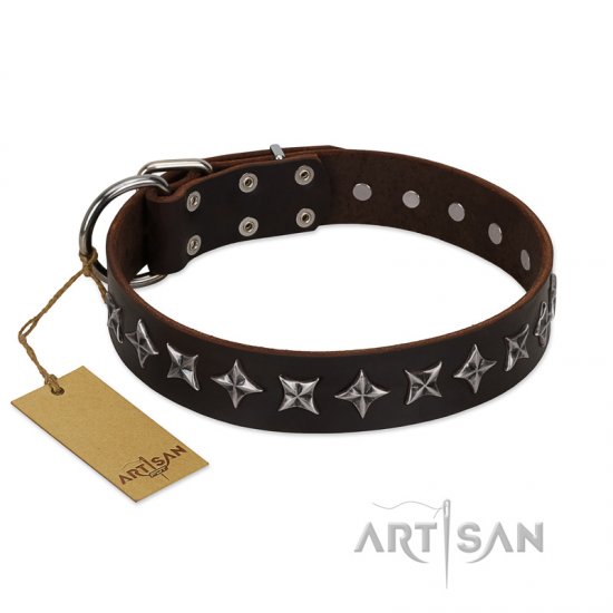 "Stars of Glory" FDT Artisan Brown Leather Dog Collar for Comfortable Walking - Click Image to Close