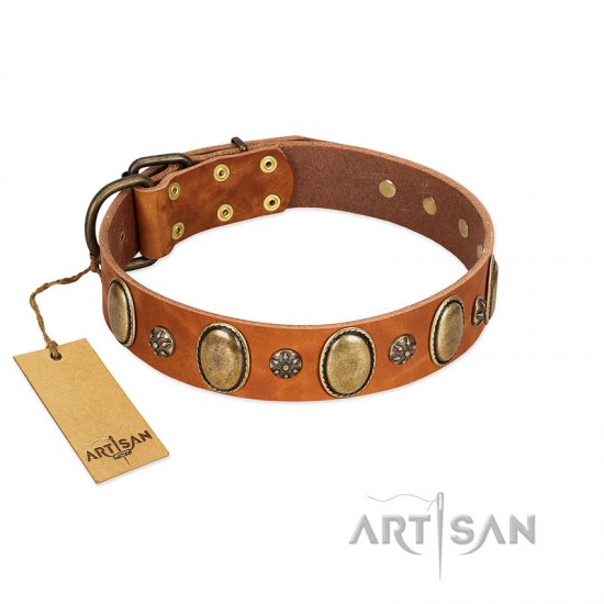 "Total Grace" FDT Artisan Tan Leather Dog Collar with Eye-catchy Ovals and Small Studs