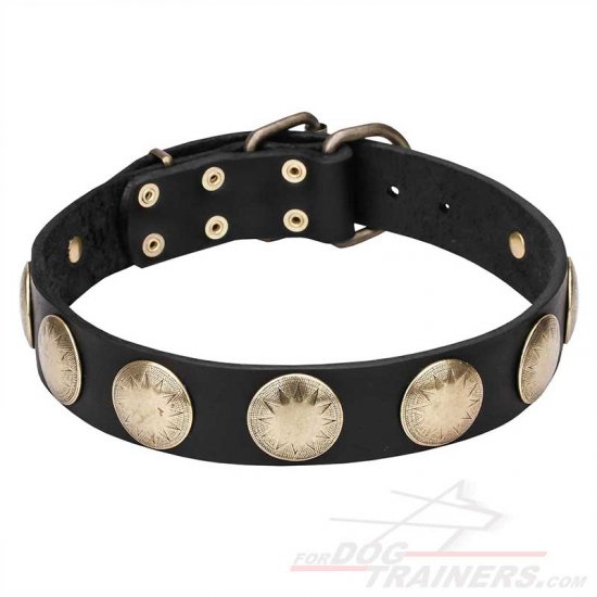 'Hip and Edgy' Leather Dog Collar with Brass Circles - Click Image to Close