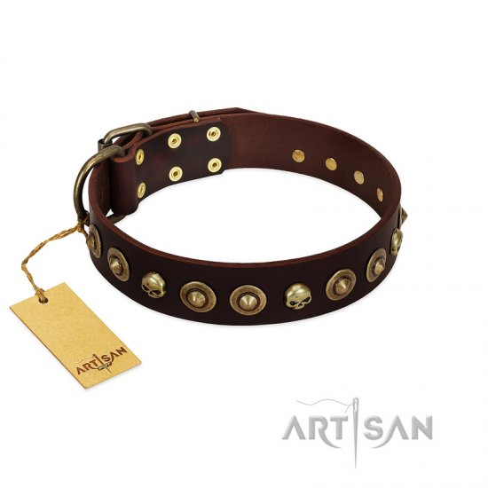 "Street Fashion" FDT Artisan Brown Leather Dog Collar Adorned with Circles and Skulls - Click Image to Close