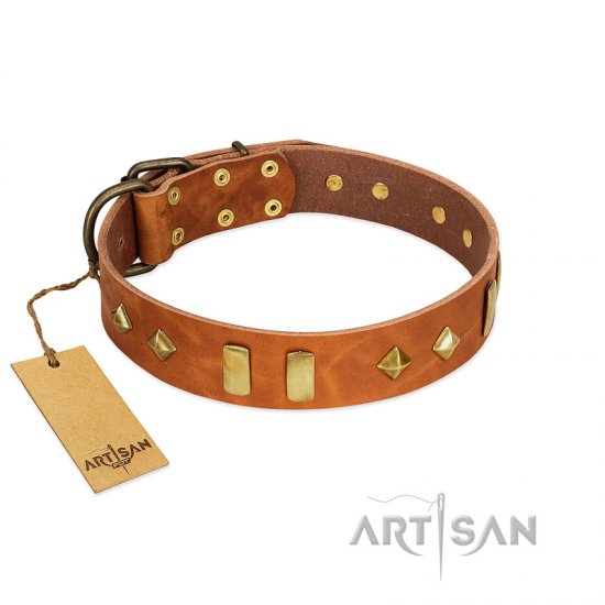 “Woofy Dawn” FDT Artisan Tan Leather Dog Collar with Plates and Rhombs