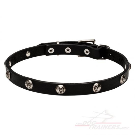 "Lucky" 20 mm Leather Dog Collar with Nickel Plated Engraved Studs - Click Image to Close