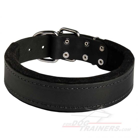 Wide Leather Dog Collar with Felt Padding for Training and Walking - Click Image to Close