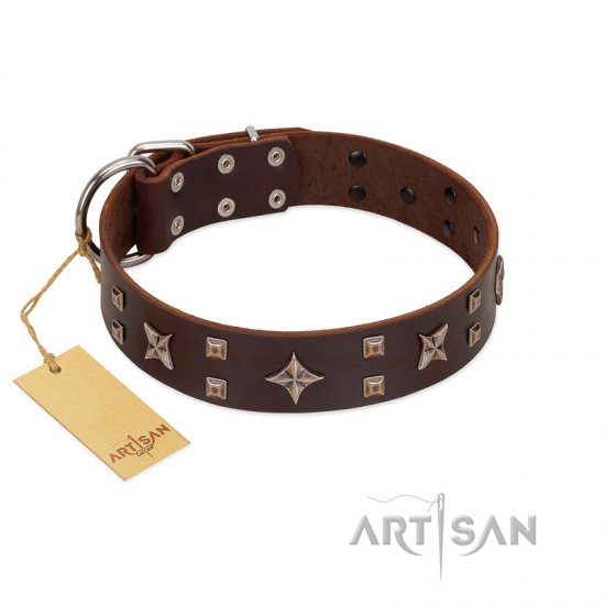 "Stars in Sands" Modern FDT Artisan Brown Leather Dog Collar with Studs and Stars