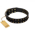 "Star Way" FDT Artisan Black Leather Dog Collar with Bronze-like Star Studs