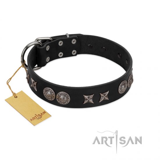 "Scythian Silver" Stylish Handmade FDT Artisan Black Leather Dog Collar